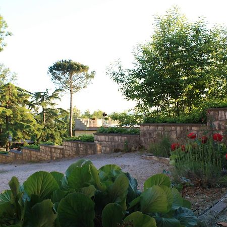 Apartamento Casa Titty Serre Di Rapolano Exterior foto